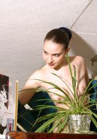 ATK Premium: Sasha (Sasha in artistic)