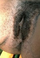 Shandy in nudism, Shandy (sha017) ATK Exotics: Shandy (Shandy in nudism)