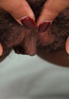 Shy Wilky in dime pieces, Shy Wilky (shy004) ATK Exotics: Shy Wilky (Shy Wilky in dime pieces)
