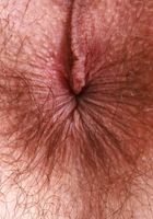 ATK Natural & Hairy: Sia Wood (Sia Wood Dressed up for Stripping Down and Spreading)