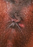 Sizi Sev Gaping Pussy, Sizi Sev (siz001) ATK Exotics: Sizi Sev (Sizi Sev Gaping Pussy)