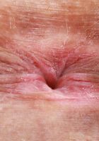 Sonia Sparrow Spreads her Holes, Sonia Sparrow (son030) ATK Petites: Sonia Sparrow (Sonia Sparrow Spreads her Holes)