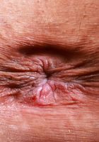 Sona Bella from ATK Petites