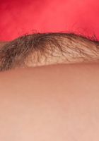 Hairy Sosha fucks a toy, Sosha (sos001) ATK Natural & Hairy: Sosha (Hairy Sosha fucks a toy)