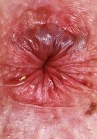 ATK Galleria: Tess Thompson (Tess Thompson is looking sweet in pink)