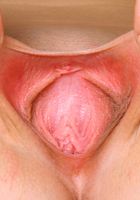 ATK Archives: Torri (Torri in)