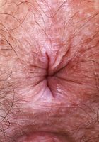 ATK Natural & Hairy: Violet Viper (Violet Viper won't shave no matter what)