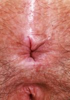 ATK Natural & Hairy: Violet Viper (Violet Viper is going to captivate you)