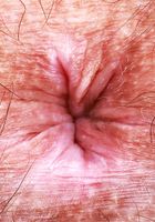 Violet Viper wants your face right here, Violet Viper (vio031) ATK Natural & Hairy: Violet Viper (Violet Viper wants your face right here)